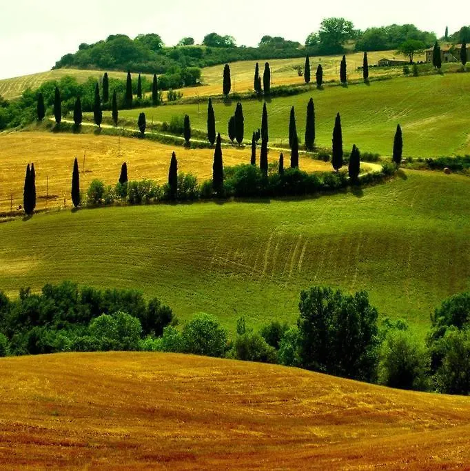 Appartamento Panoramico Montepulciano 0*,