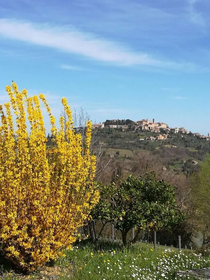 Appartamento Panoramico Montepulciano