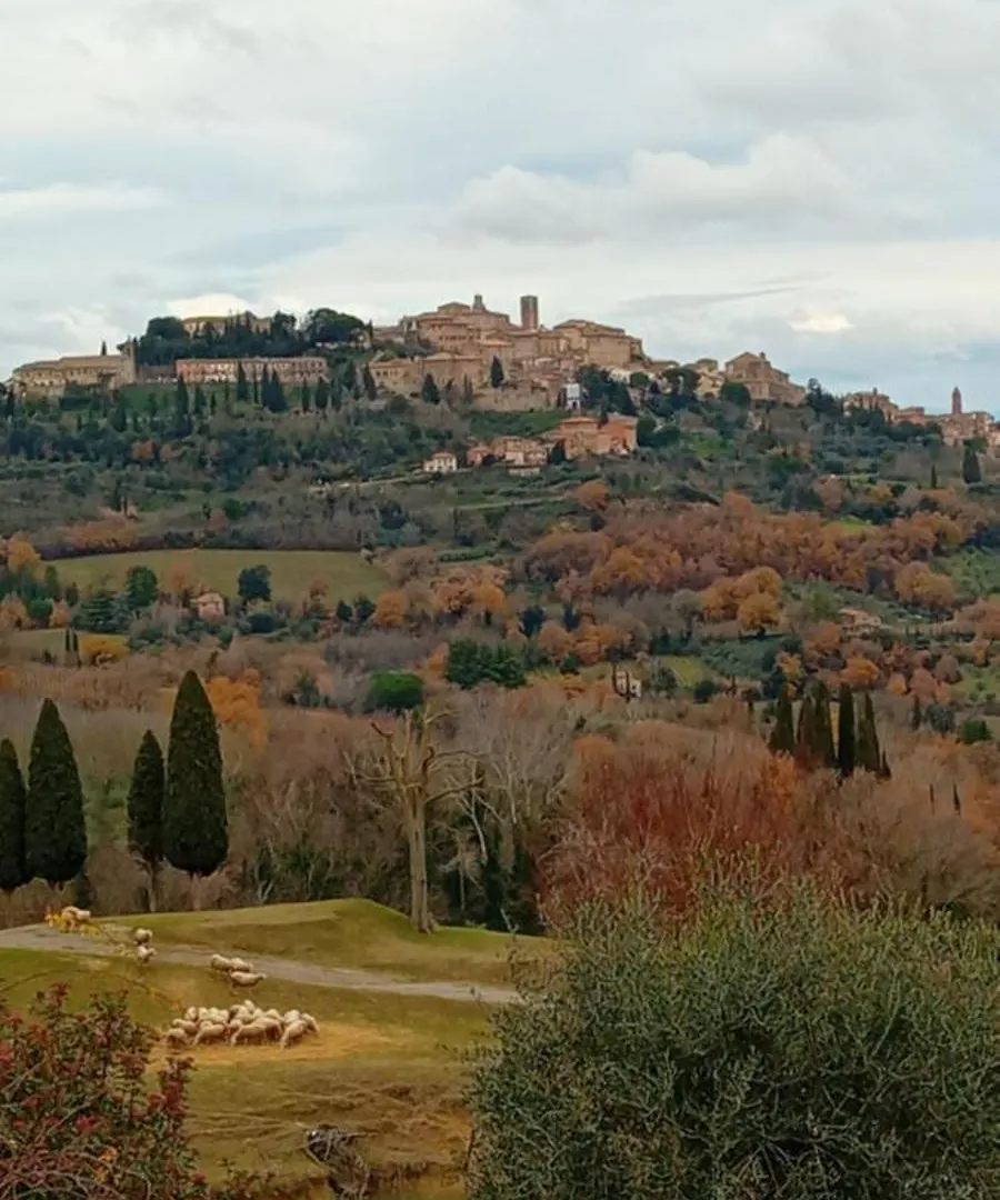 Appartamento Panoramico Montepulciano 0*,  Italy