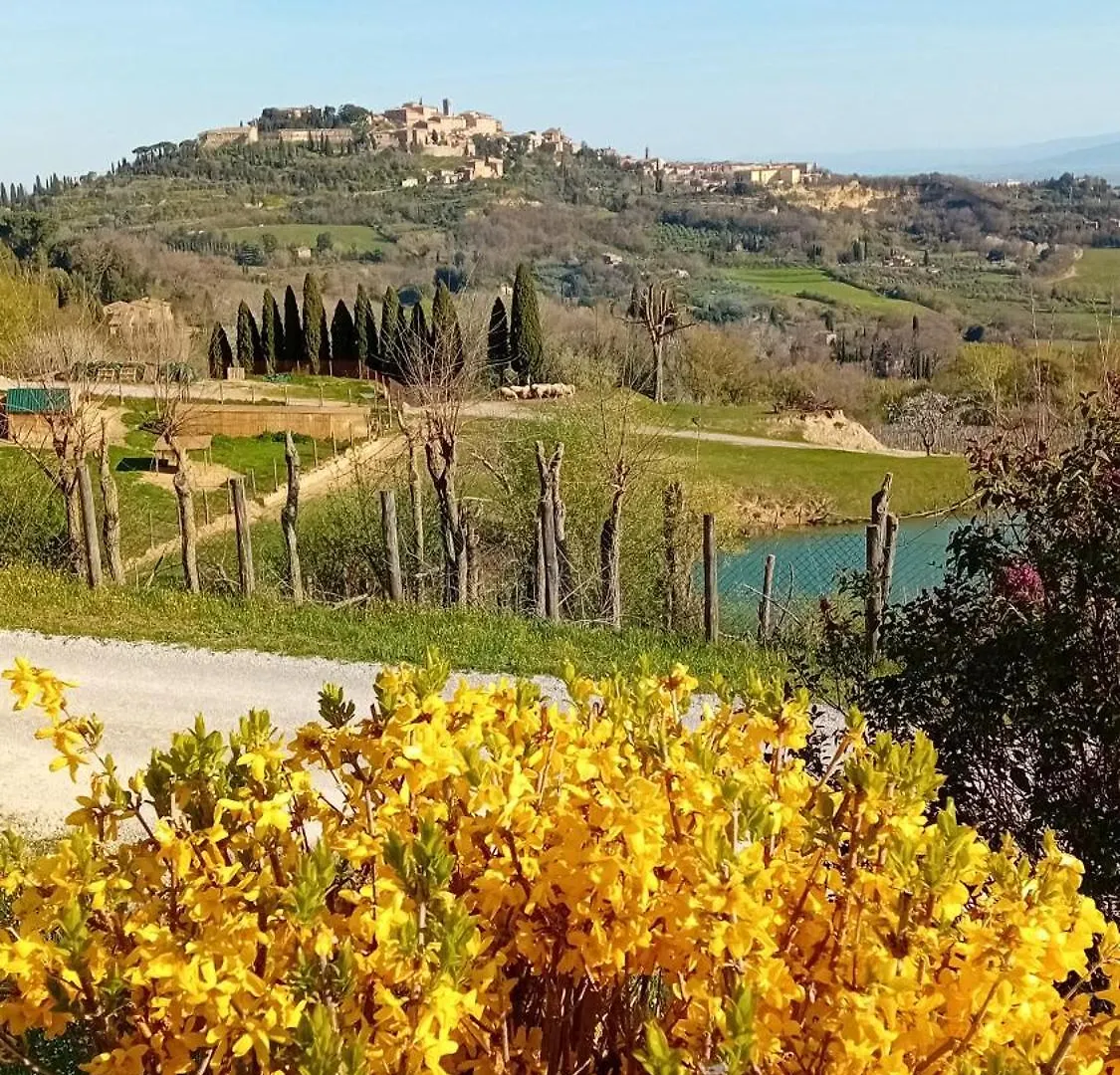 Appartamento Panoramico Montepulciano Italy